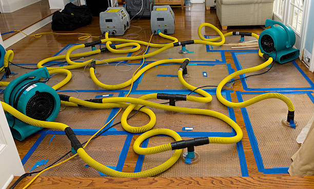 Professional Crawl Space Water Removal technician working in Harborside, ME